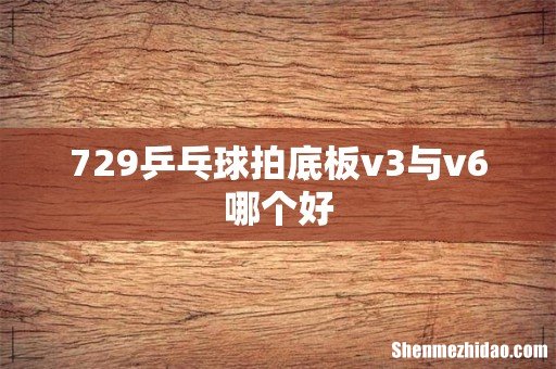 729乒乓球拍底板v3与v6哪个好