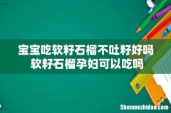 宝宝吃软籽石榴不吐籽好吗 软籽石榴孕妇可以吃吗