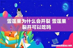 雪莲果为什么会开裂 雪莲果裂开可以吃吗