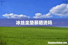冰丝坐垫暴晒烫吗