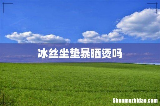 冰丝坐垫暴晒烫吗