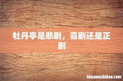 牡丹亭是悲剧，喜剧还是正剧
