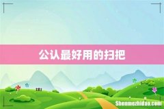 公认最好用的扫把