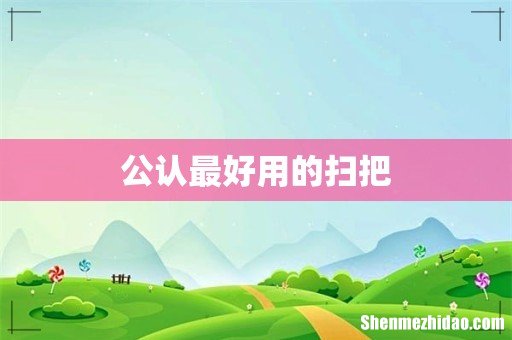 公认最好用的扫把