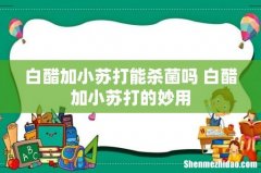 白醋加小苏打能杀菌吗 白醋加小苏打的妙用