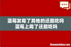 蓝莓发霉了其他的还能吃吗 蓝莓上霉了还能吃吗