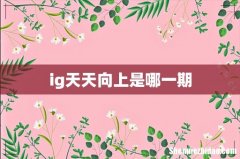 ig天天向上是哪一期
