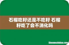 石榴吃籽还是不吃籽 石榴籽吃了会不消化吗