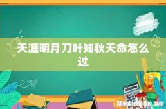 天涯明月刀叶知秋天命怎么过