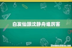 白发仙跟沈静舟谁厉害