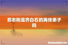 苏志刚是齐白石的再传弟子吗