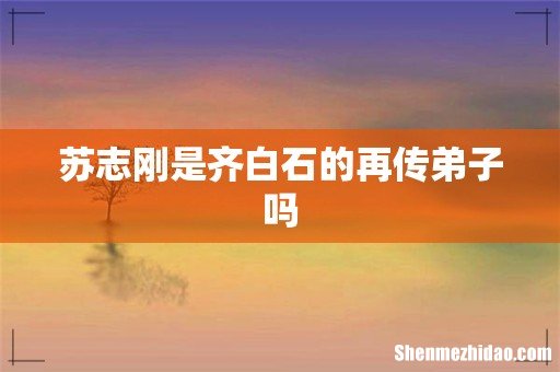 苏志刚是齐白石的再传弟子吗