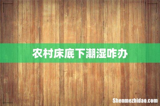 农村床底下潮湿咋办