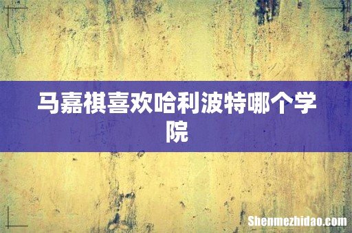 马嘉祺喜欢哈利波特哪个学院
