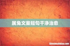 属兔文案短句干净治愈