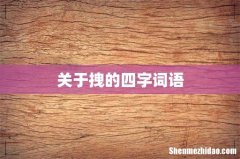 关于拽的四字词语
