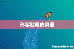 形容腿粗的词语