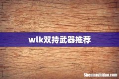 wlk双持武器推荐