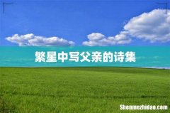 繁星中写父亲的诗集