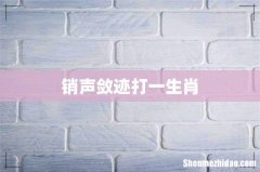 销声敛迹打一生肖