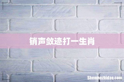 销声敛迹打一生肖