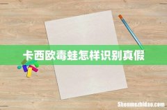 卡西欧毒蛙怎样识别真假