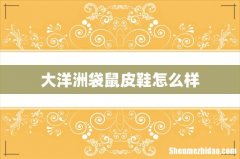 大洋洲袋鼠皮鞋怎么样
