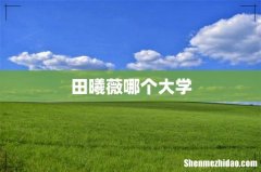 田曦薇哪个大学