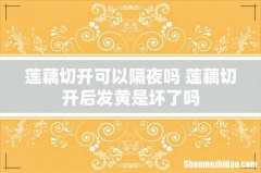 莲藕切开可以隔夜吗 莲藕切开后发黄是坏了吗