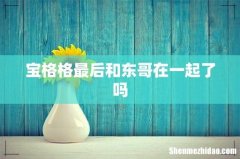 宝格格最后和东哥在一起了吗