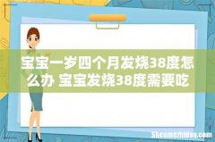 宝宝一岁四个月发烧38度怎么办 宝宝发烧38度需要吃药吗