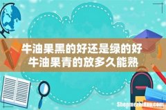 牛油果黑的好还是绿的好 牛油果青的放多久能熟