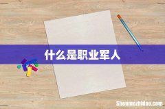 什么是职业军人