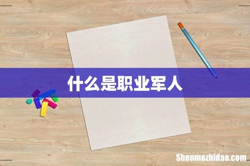 什么是职业军人