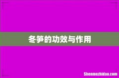 冬笋的功效与作用