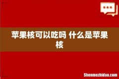 苹果核可以吃吗 什么是苹果核