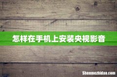 怎样在手机上安装央视影音