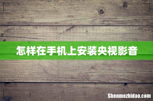怎样在手机上安装央视影音