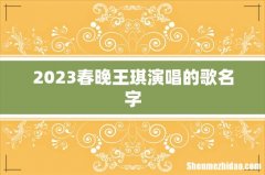 2023春晚王琪演唱的歌名字
