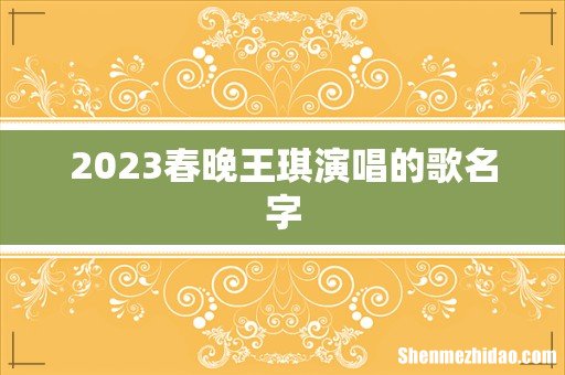 2023春晚王琪演唱的歌名字