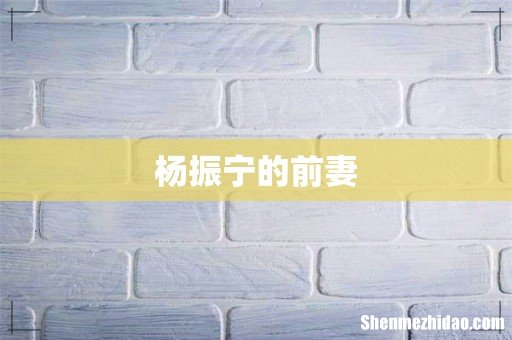 杨振宁的前妻