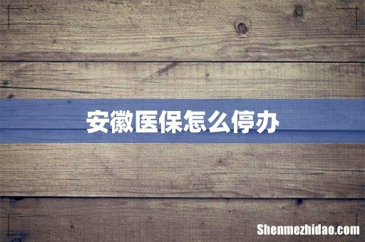 安徽医保怎么停办