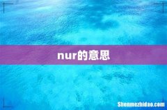 nur的意思