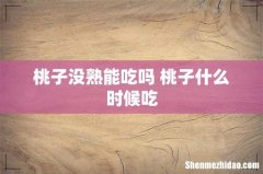 桃子没熟能吃吗 桃子什么时候吃