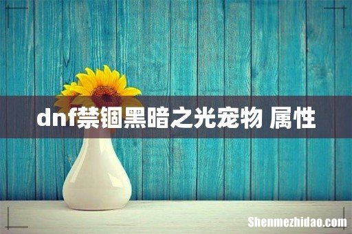 dnf禁锢黑暗之光宠物 属性