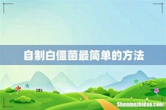 自制白僵菌最简单的方法