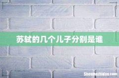 苏轼的几个儿子分别是谁