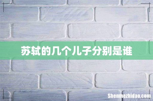 苏轼的几个儿子分别是谁