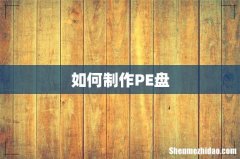 如何制作PE盘