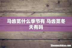 马齿苋什么季节有 马齿苋冬天有吗